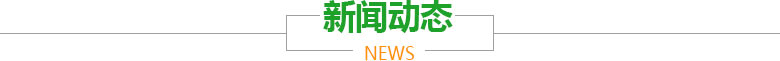 新聞動(dòng)態(tài)